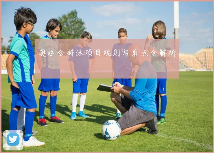 奥运会游泳项目规则与看点全解析
